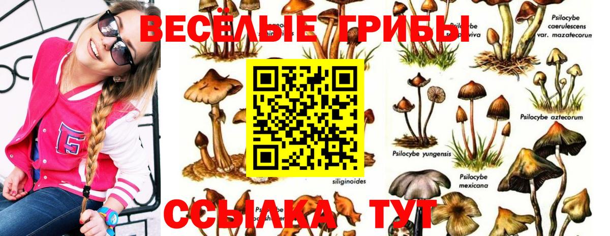 Канабис  ЭКСТАЗИ  Меф МЯУ МЯУ   MDMA  Кетамин  МЕФ  Кинель  Лсд 25  Альфа ПВП СОЛЬ   ГАШ  Кокаин  Вход с VPN 