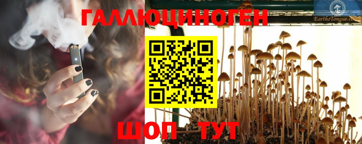 Галлюциногенные грибы MAGIC MUSHROOMS Кинель