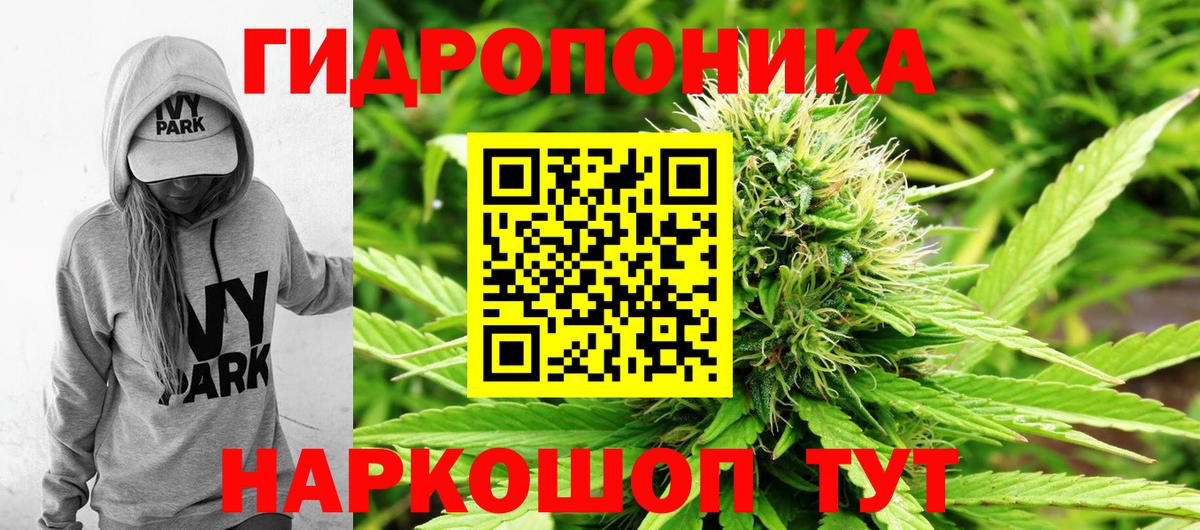 МАРИХУАНА ГИДРОПОН Кинель
